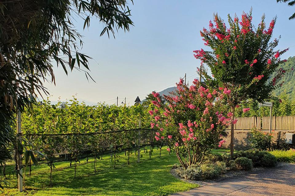 Einfahrt Köstenholzerhof Einfahrt Köstenholzerhof