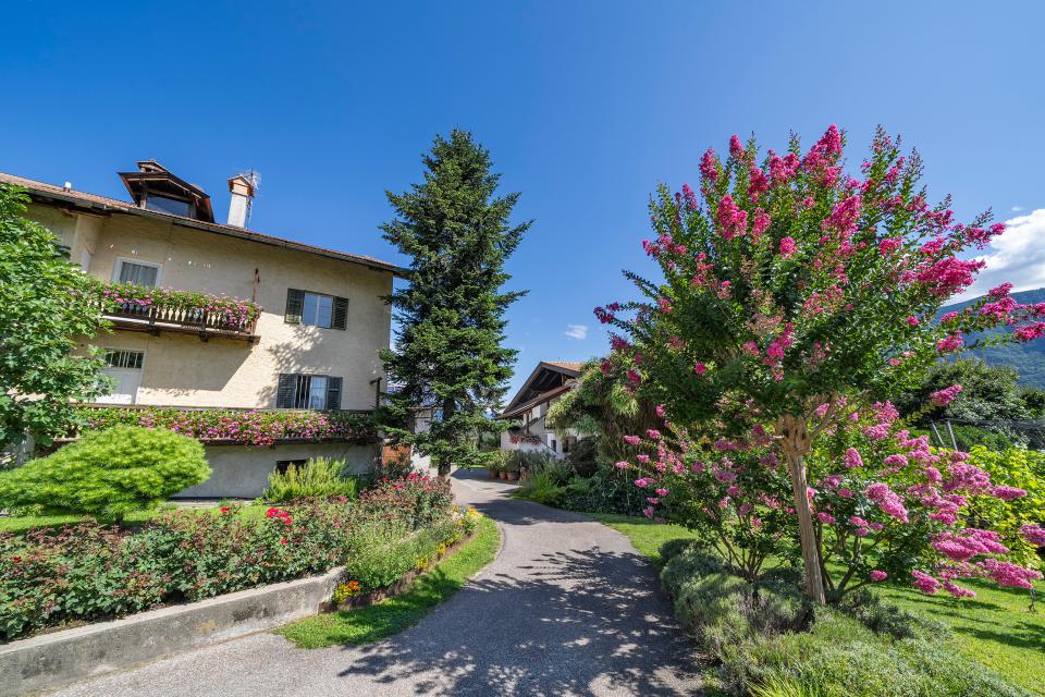 Hofeinfahrt Köstenholzerhof Hofeinfahrt Köstenholzerhof